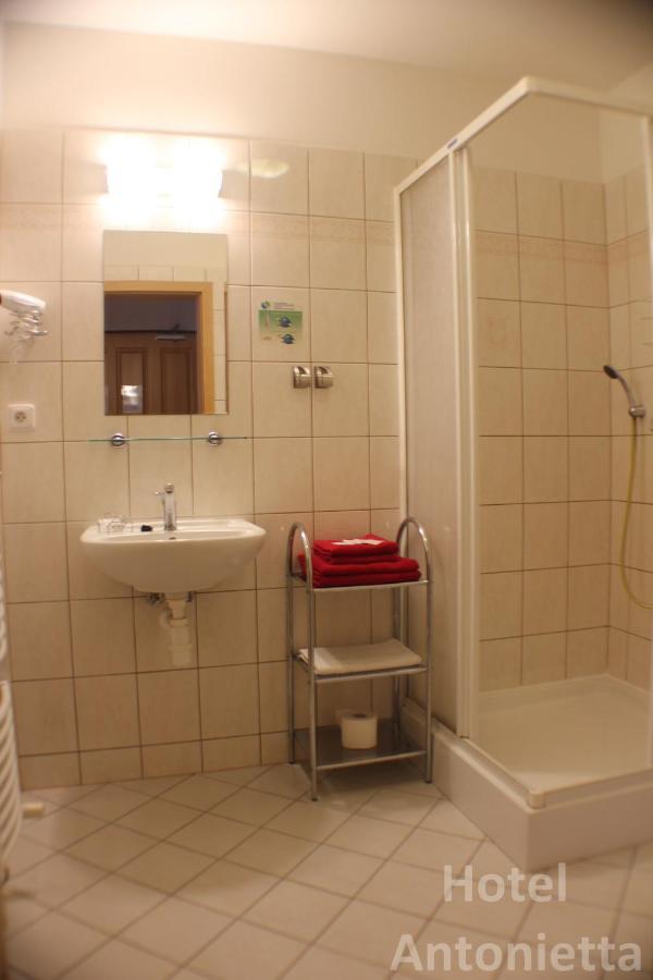 Hotel Antonietta Teplice Room photo